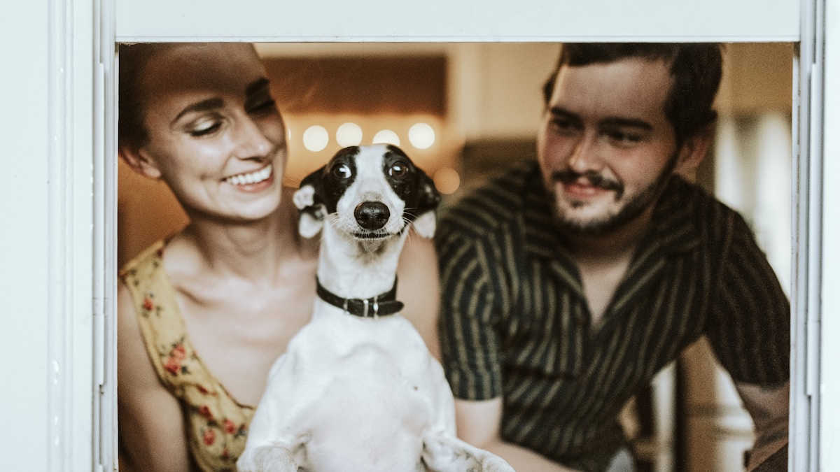 ¿Es seguro que tu cachorro conozca a otros perros? Los peligros ocultos de la socialización temprana