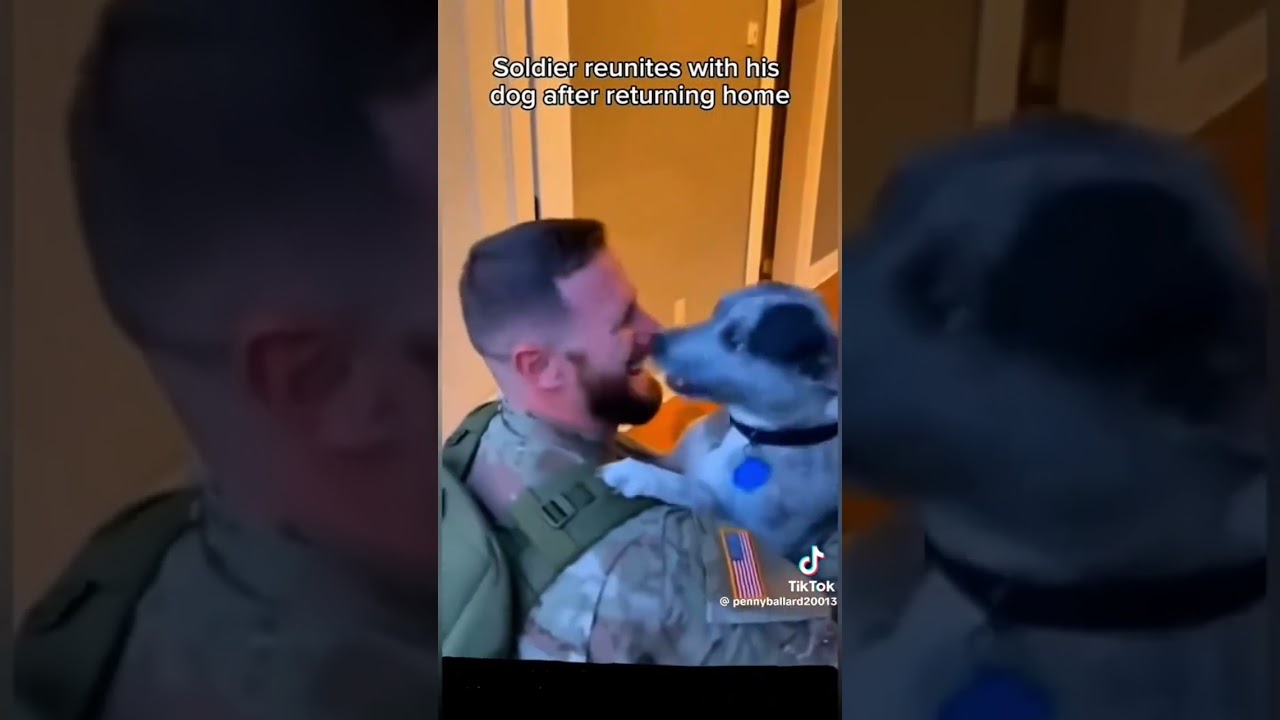 El conmovedor reencuentro que demuestra la lealtad de un Firulais