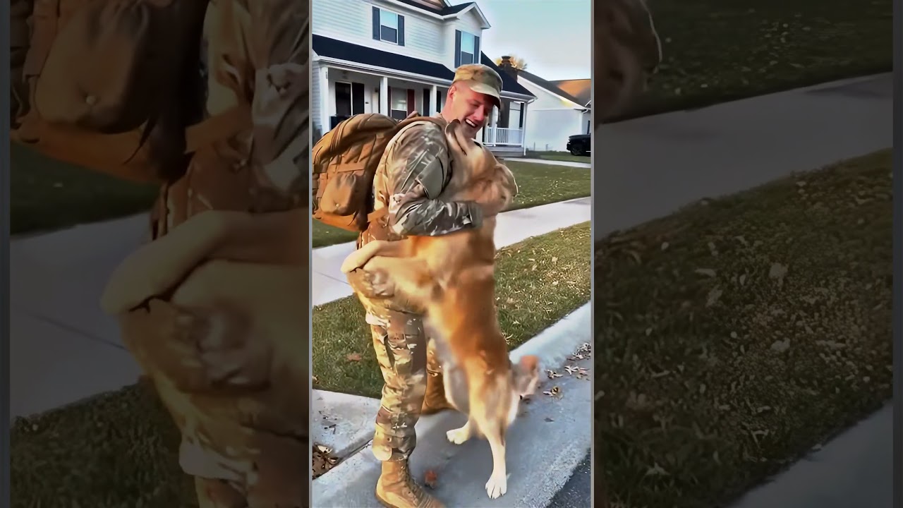 El conmovedor reencuentro de un soldado y su fiel amigo