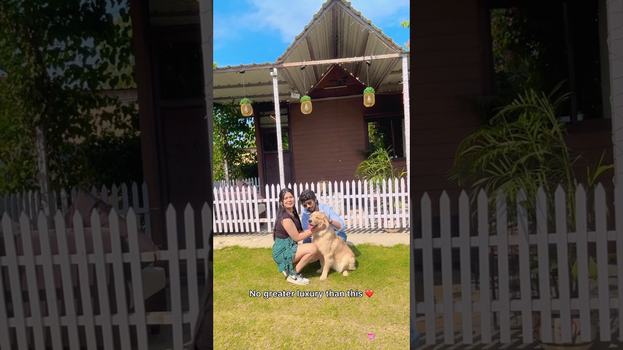 La fortuna incalculable de tener un Golden Retriever