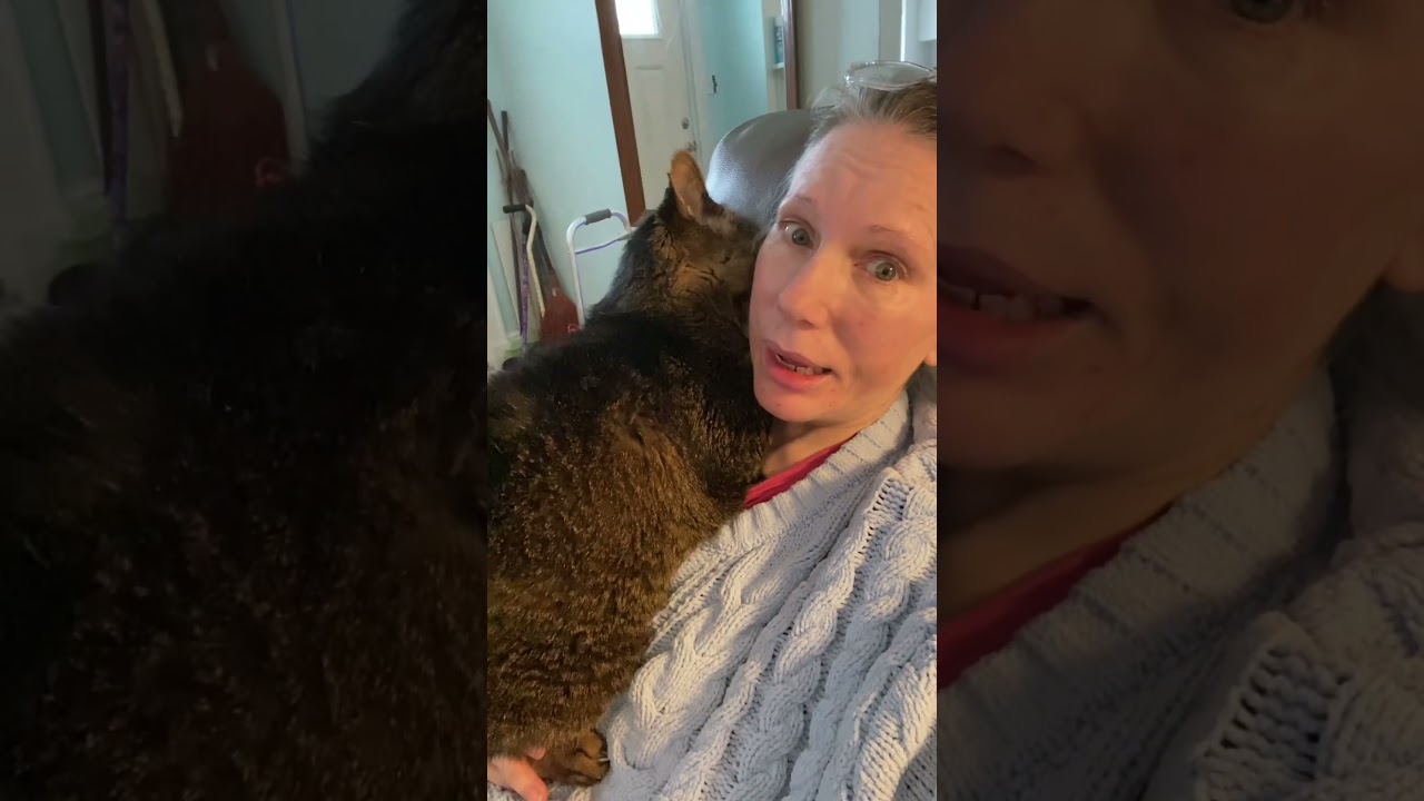 La conmovedora razón por la que este gato busca abrazos