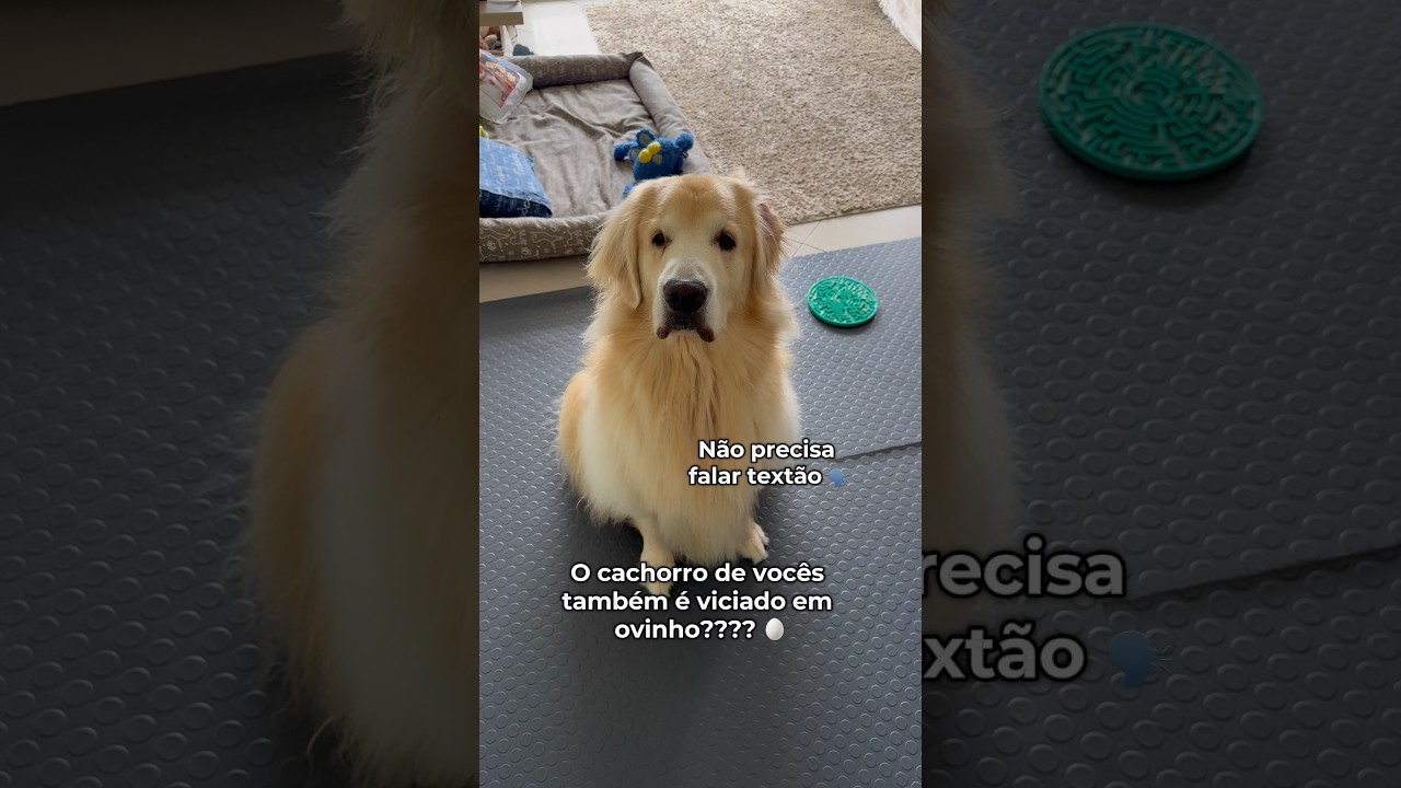 El increíble secreto detrás de la delicadeza de este Golden