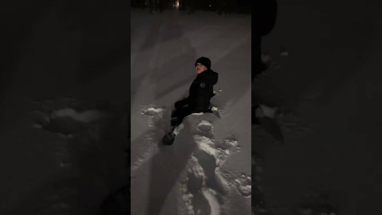 El increíble descubrimiento de un Bernedoodle en la nieve