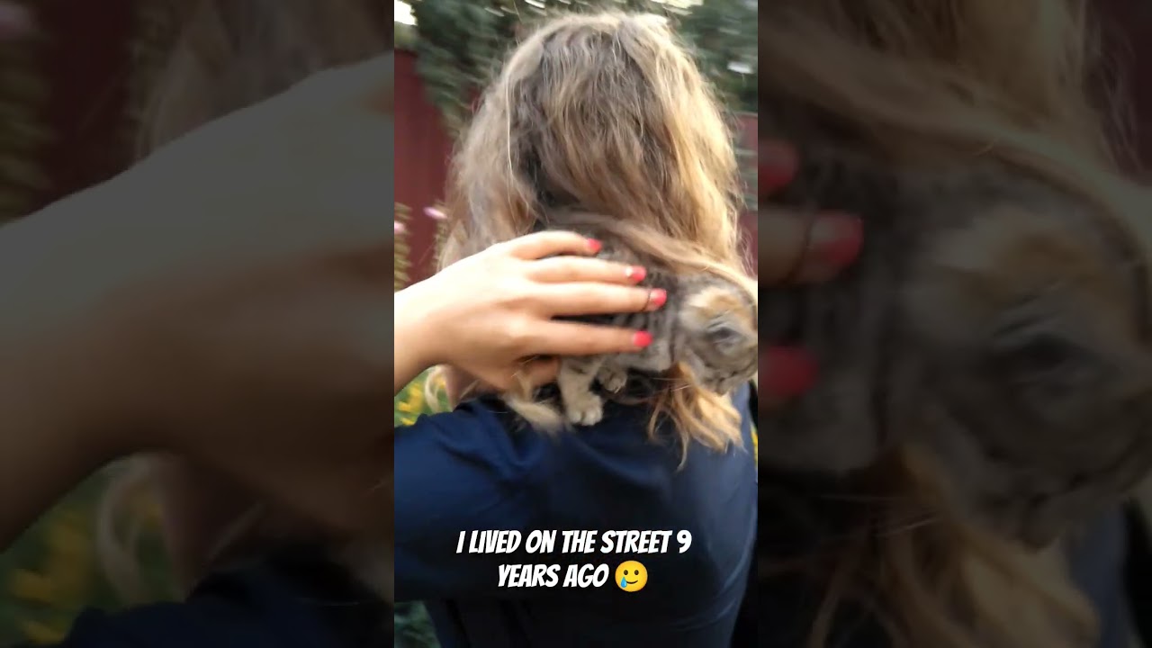 De la soledad al amor: El emotivo rescate de una pequeña gatita
