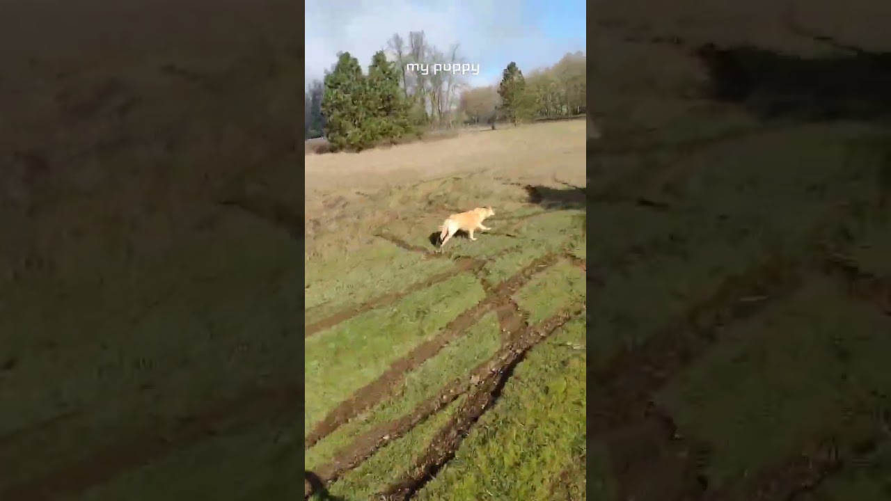 El fascinante instinto de felicidad de Maya en acción