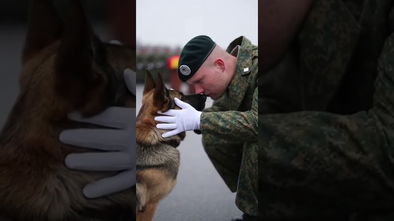 El conmovedor motivo por el que este K9 no deja a su soldado