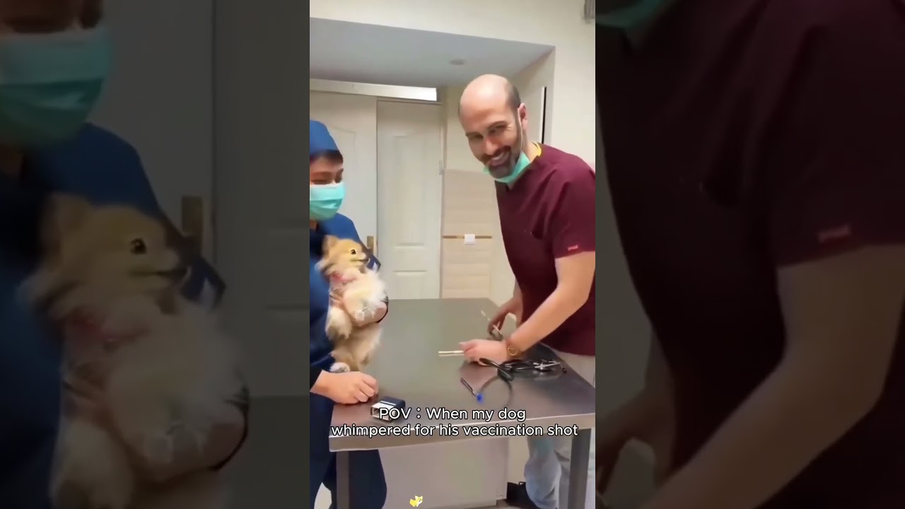 La fascinante razón tras las carreras locas de los gatitos