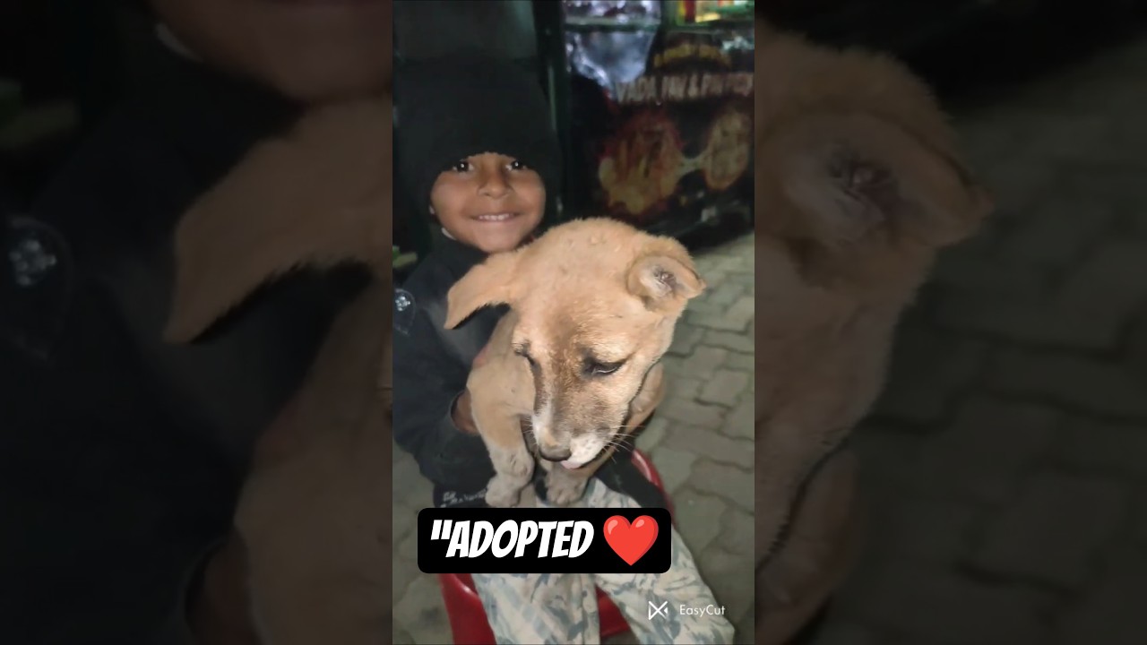 El conmovedor momento en que Chutki encontró a su familia
