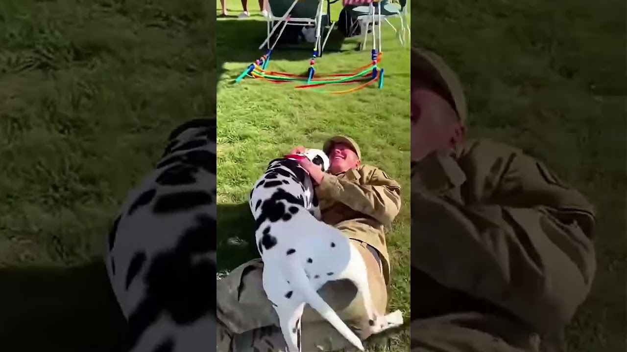 Soldado regresa a casa y el llanto de su perrita herida conmueve las r