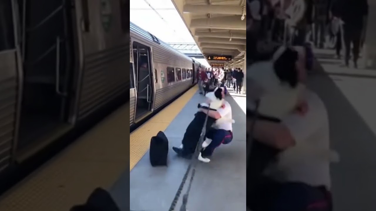 Perro embiste a su dueño en un emotivo reencuentro viral