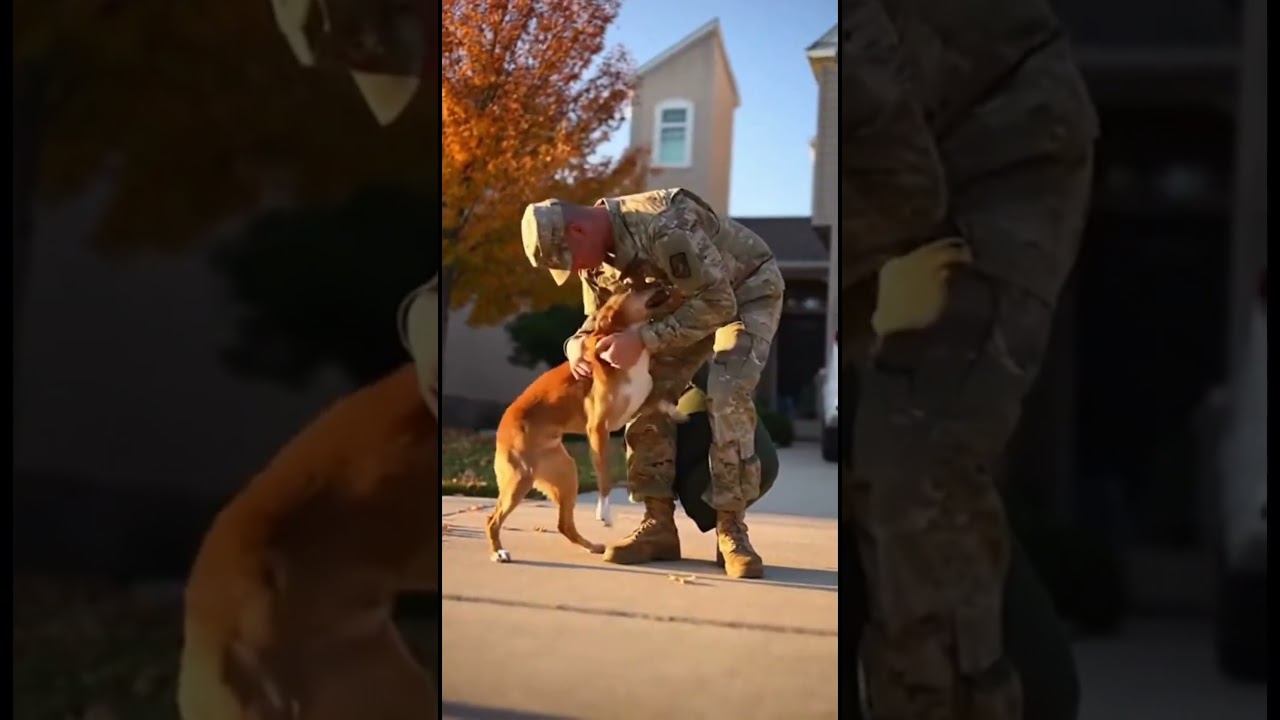 Increíble reencuentro: La lealtad de un perro sin límites
