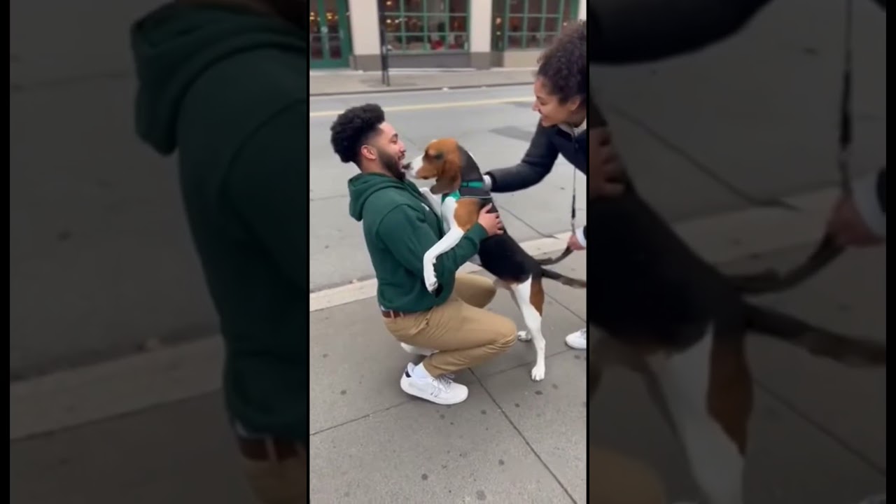 El emotivo momento en que estos Firulais reconocen a sus padres