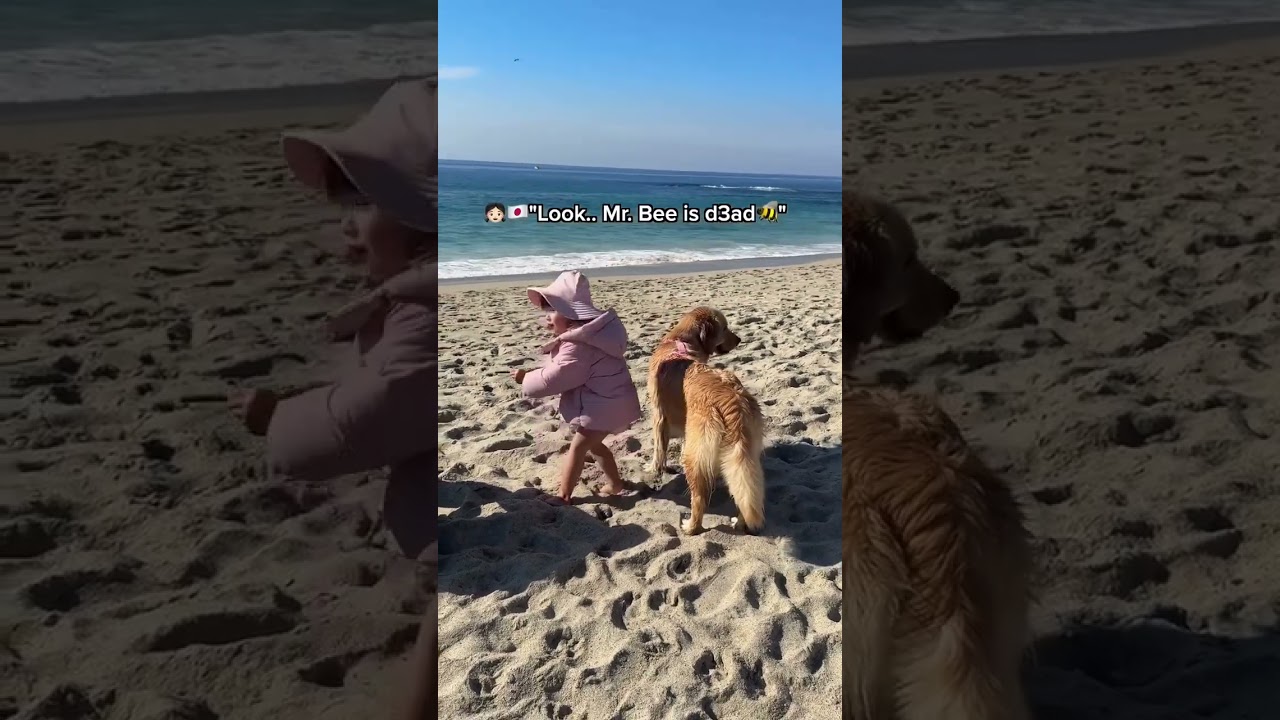 El conmovedor lenguaje secreto entre una niña y sus perros