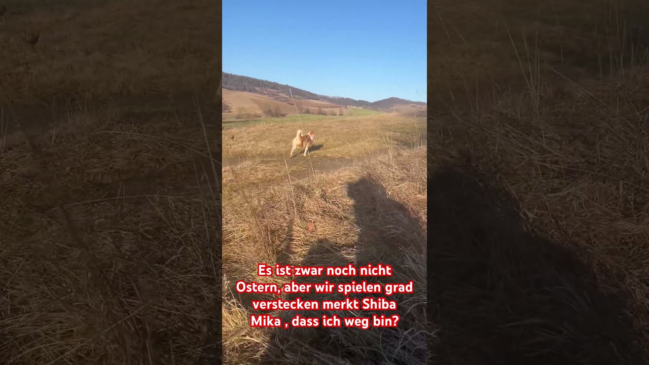 La inesperada y conmovedora prueba de lealtad de Mika