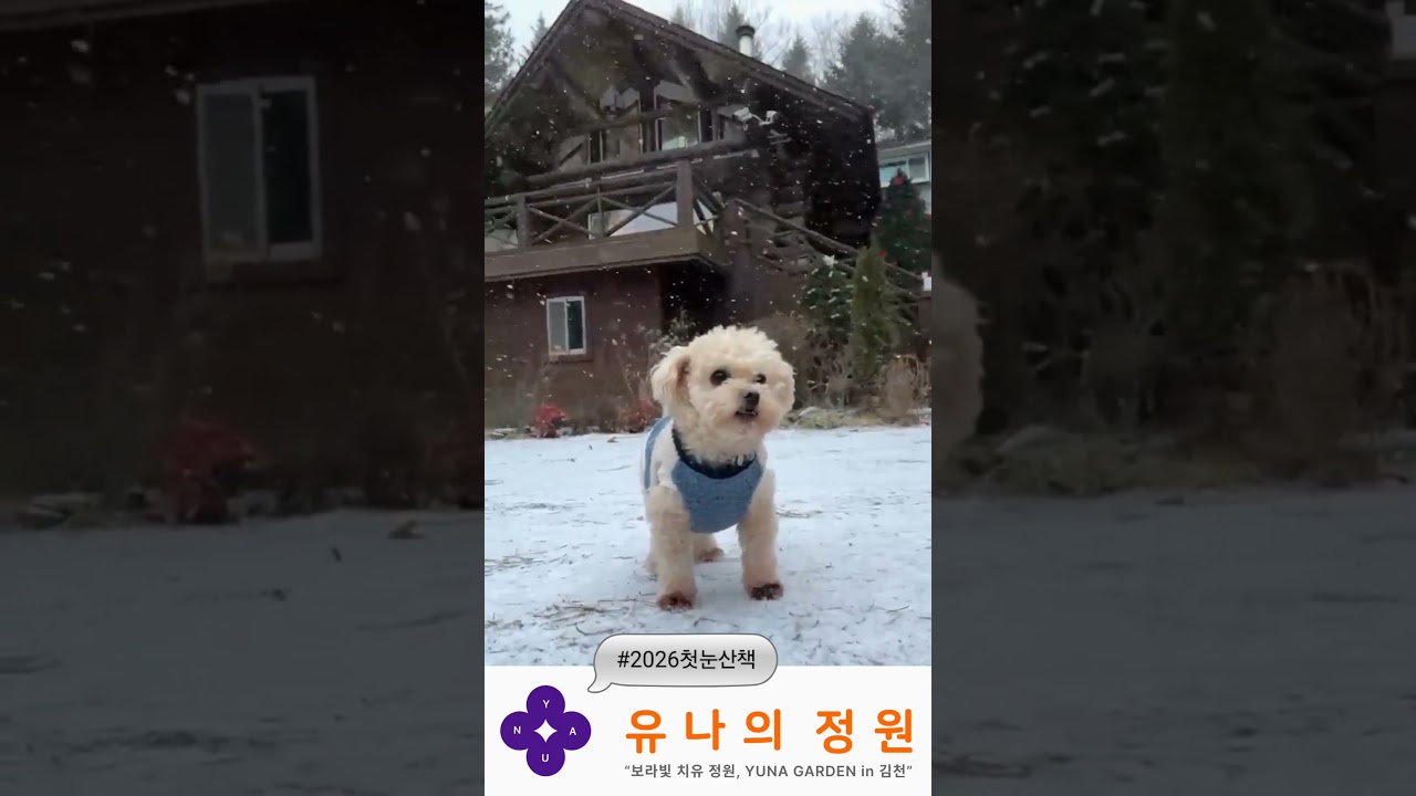 La increíble reacción de Joy al descubrir la nieve