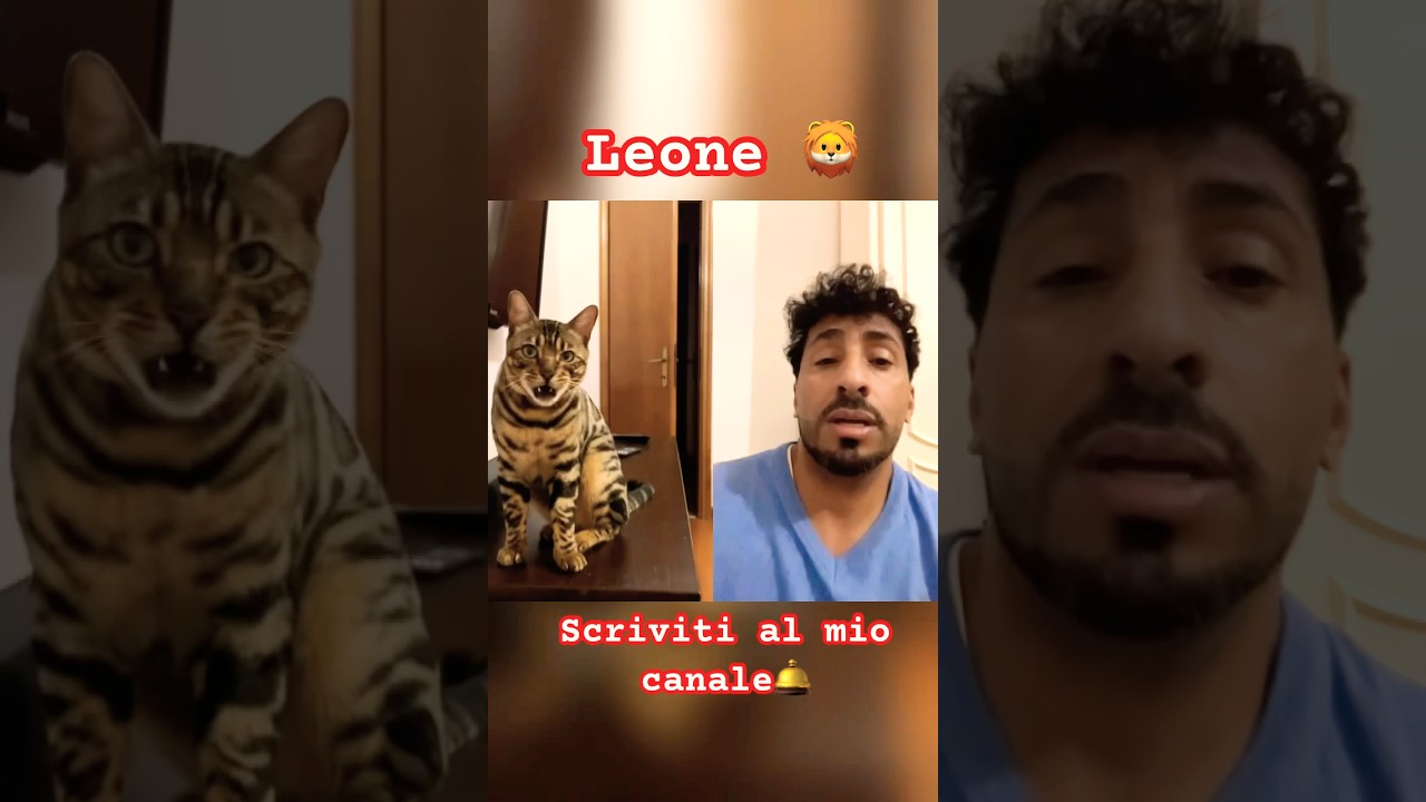 El increíble talento de Leone para dominar a sus humanos