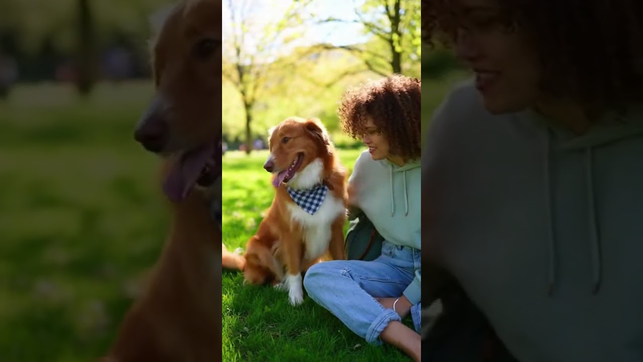 La increíble reacción de perros rescatados al pisar libertad