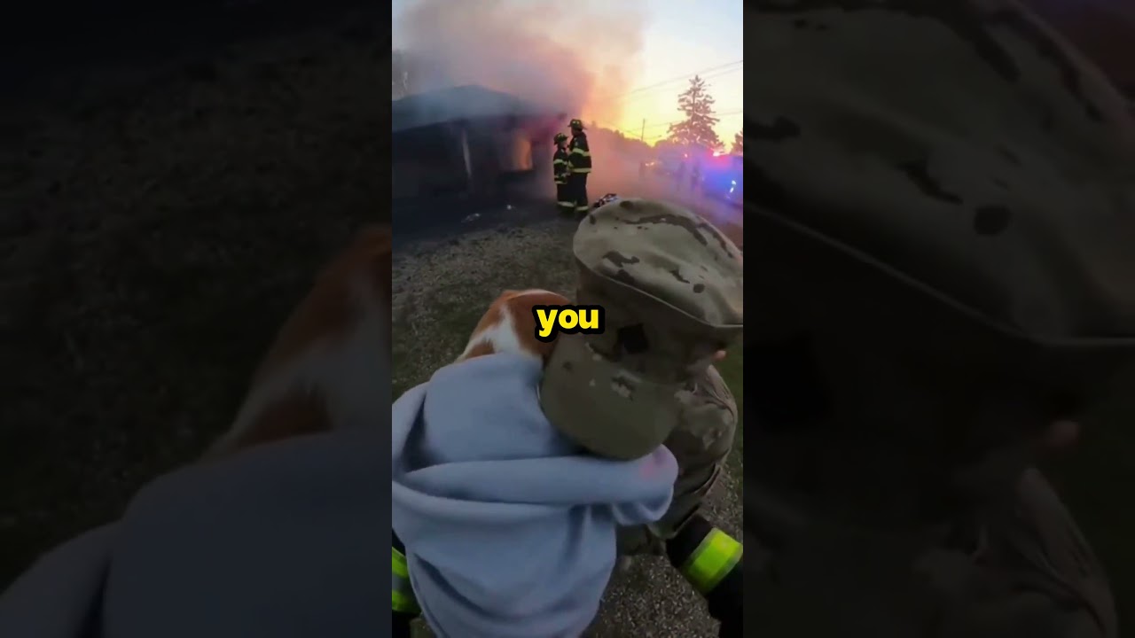 El conmovedor reencuentro de un soldado y su perro rescatado